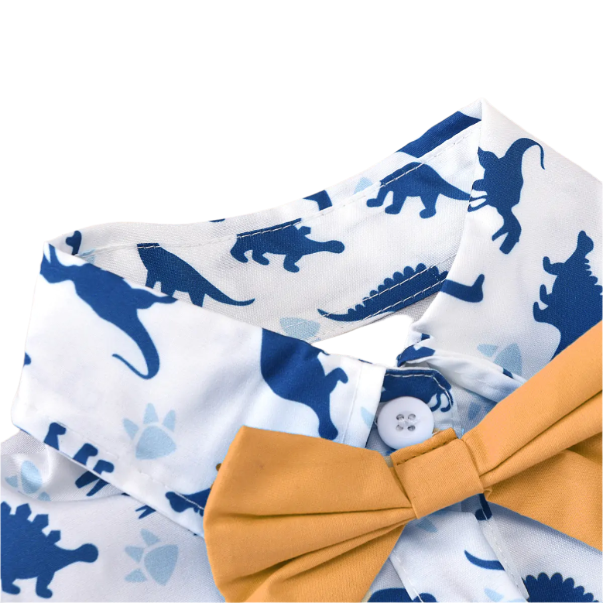Baby Boy Dinosaur 2/3 Piece Set