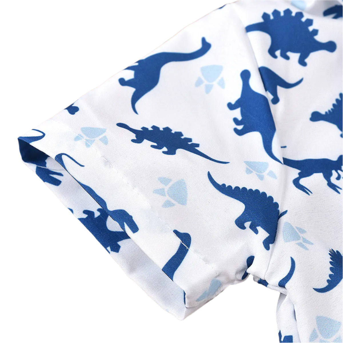 Baby Boy Dinosaur 2/3 Piece Set