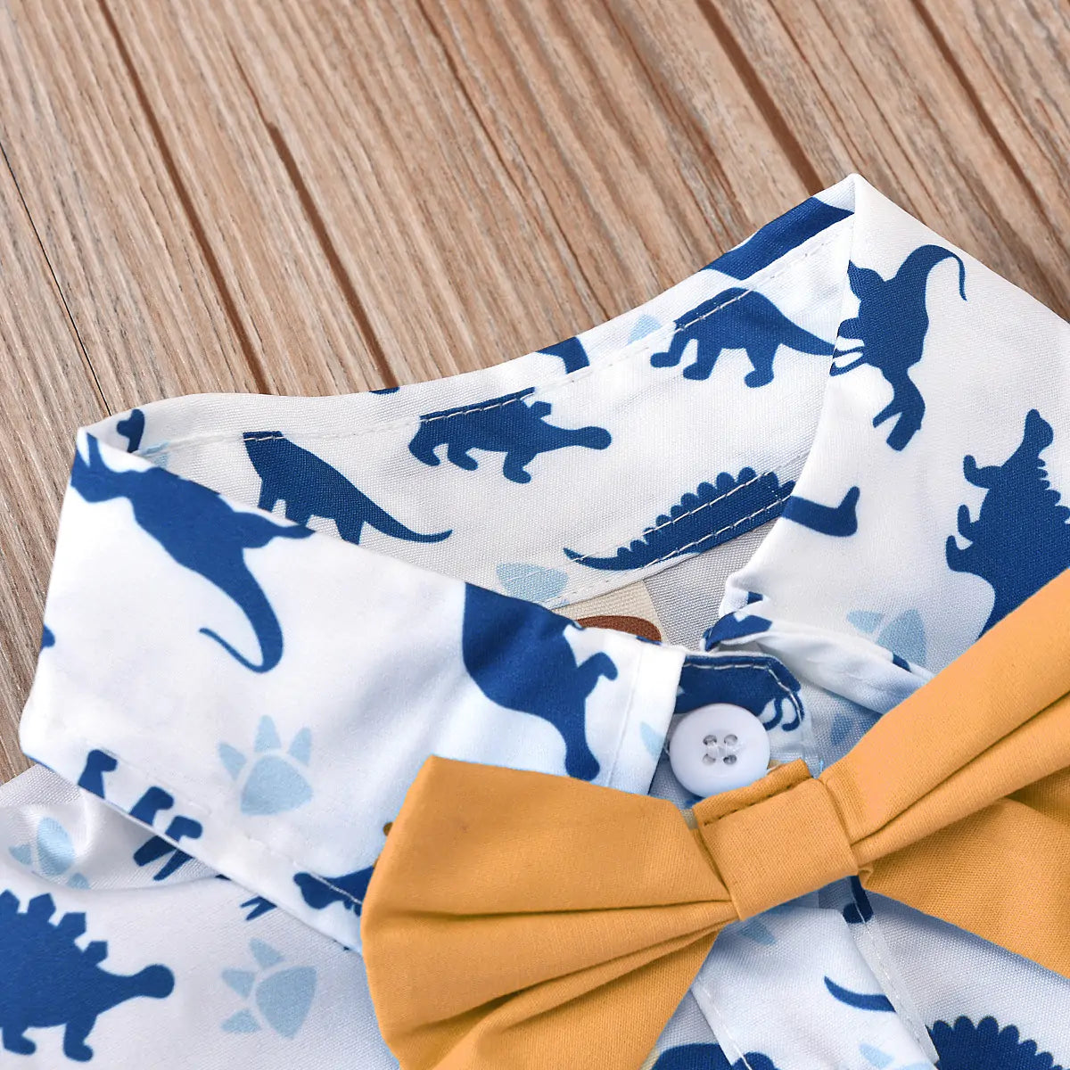 Baby Boy Dinosaur 2/3 Piece Set